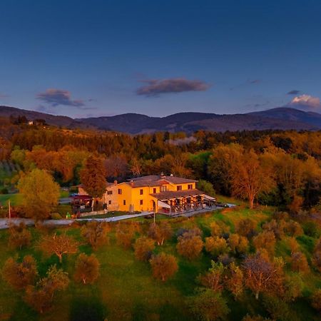 Tenuta Risalpiano Pelago Esterno foto