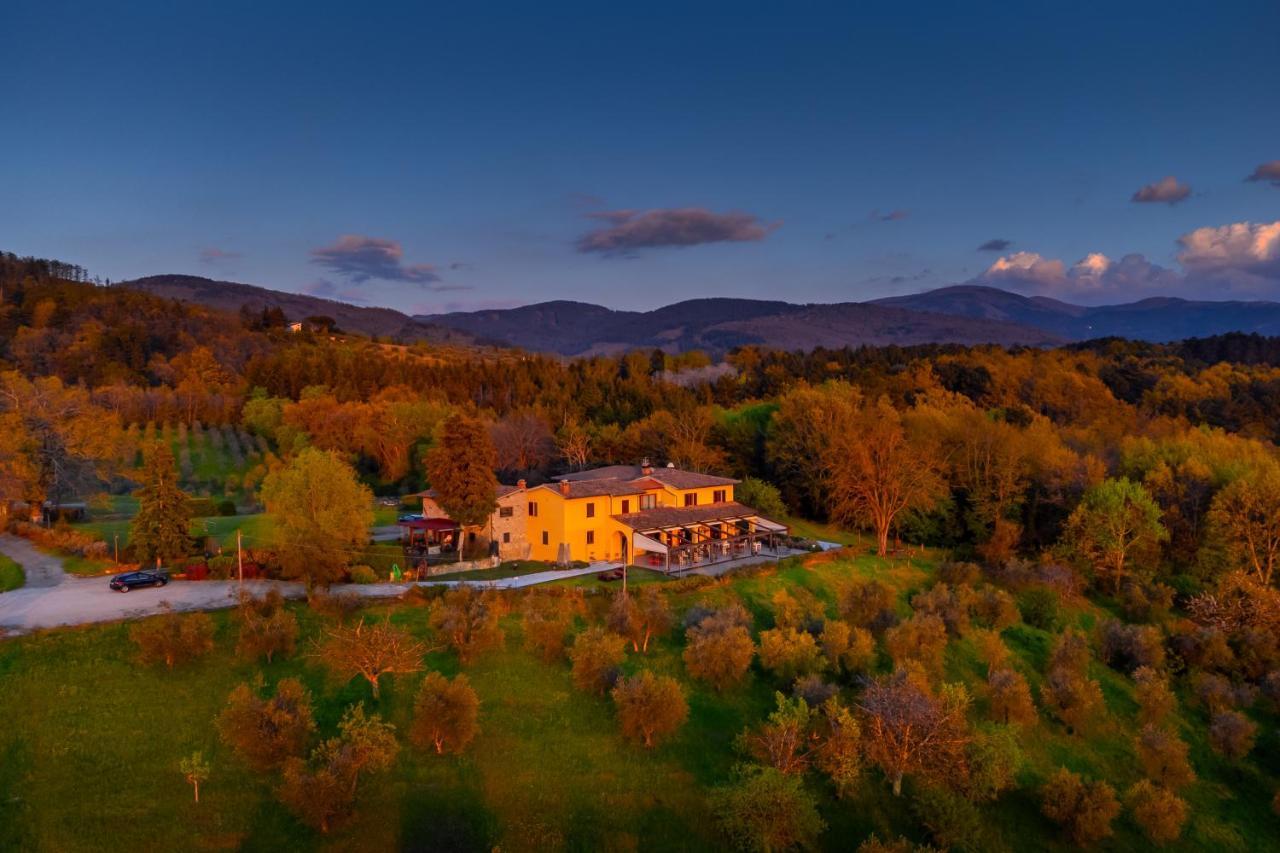 Tenuta Risalpiano Villa Pelago Esterno foto