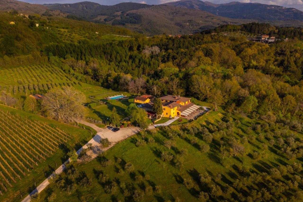Tenuta Risalpiano Pelago Esterno foto