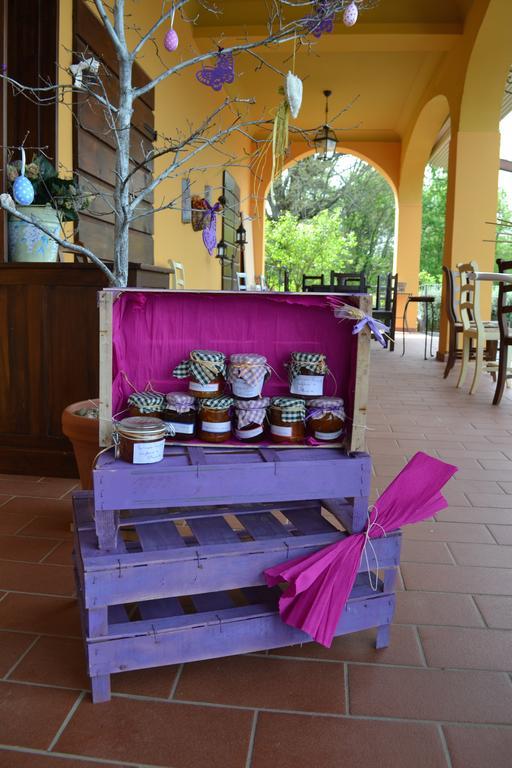 Tenuta Risalpiano Pelago Esterno foto