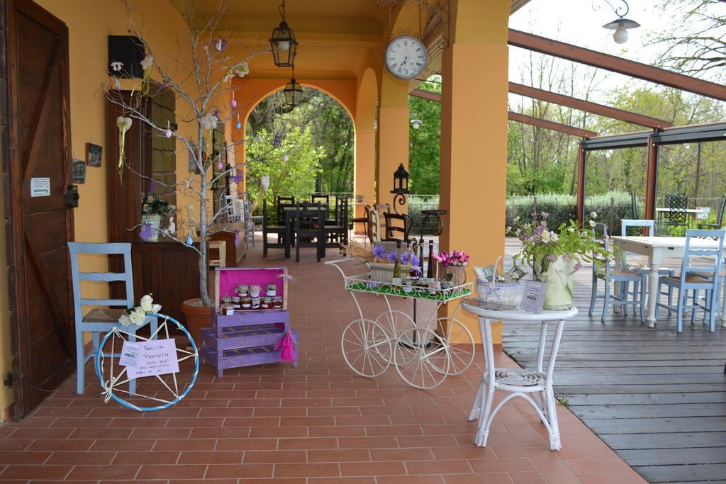 Tenuta Risalpiano Pelago Esterno foto